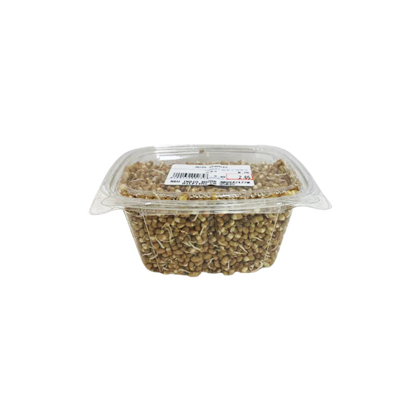 Moth Sprouts 1 PACK