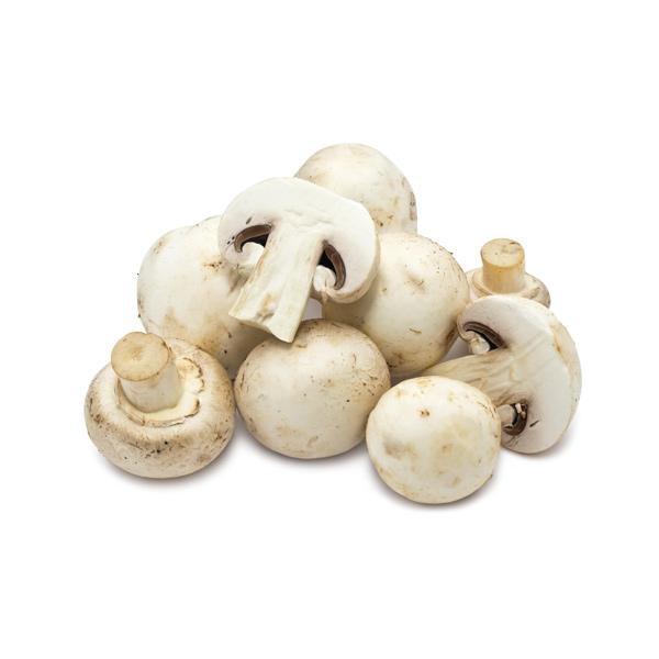Mushroom 1Packet