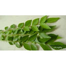 Curry Leaves 1 Packet